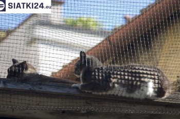 Siatki Swarzędz - Siatka na balkony dla kota i zabezpieczenie dzieci dla terenów Swarzędza